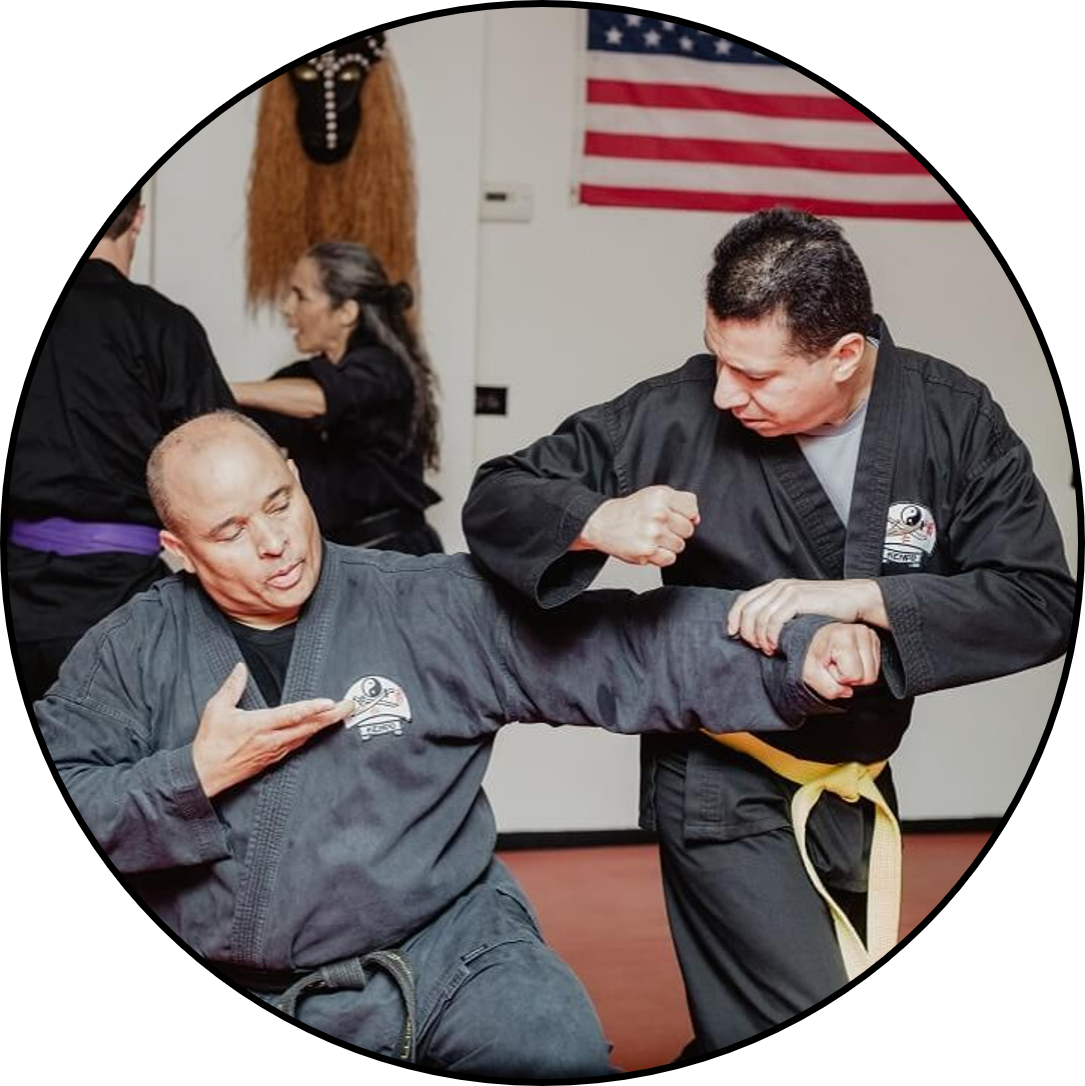 Adult Martial Arts